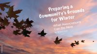 Preparing a Community’s Grounds for Winter: What Associations Can Do Now