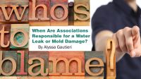 When Are Associations Responsible for a Water Leak or Mold Damage?